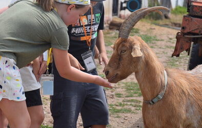 Terminänderung für die Tierversorgung